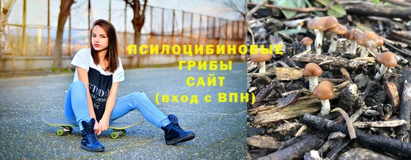 стаф Дубна