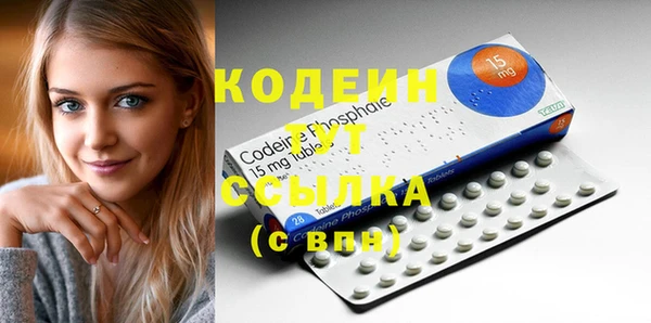 индика Новокубанск