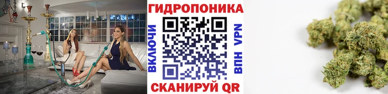 гидра зеркало  Кемь  МАРИХУАНА ГИДРОПОН 